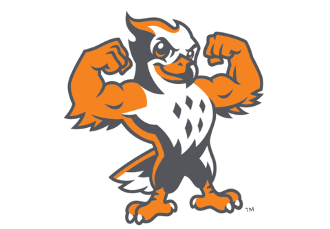 UTSouthern giphyupload utsouthern goutsfirehawks utsfirehawks Sticker