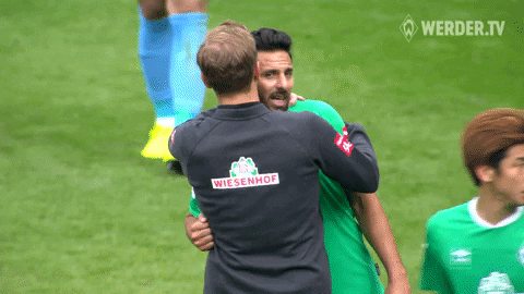 Wohninvest Weserstadion Matchday GIF by SV Werder Bremen