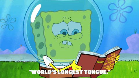 episode 1 GIF by SpongeBob SquarePants