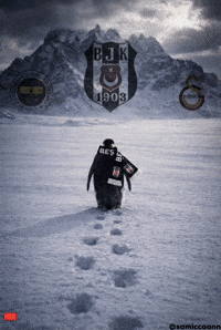 Penguin Galatasaray GIF