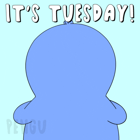 Penguin Hello GIF by Pudgy Penguins