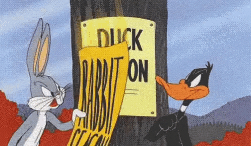 coasthockeyshop giphyupload duck season rabbit season GIF