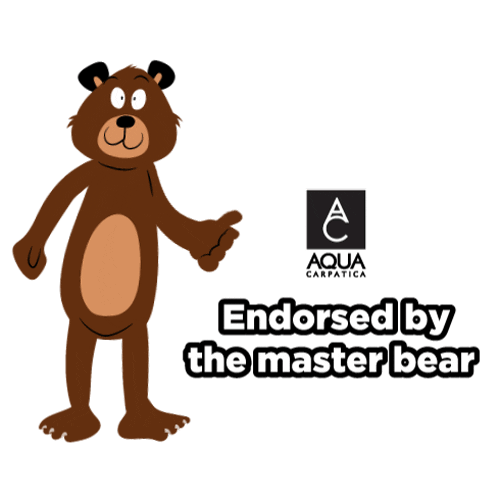 AQUACarpaticaGr yes bear agree bears Sticker