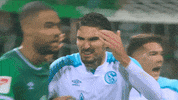 Football Soccer GIF by FC Schalke 04