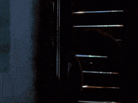 Good Morning Cinderella GIF