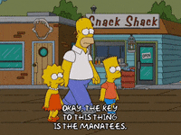 homer simpson GIF