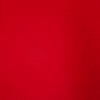 ladyraiderwbb vivian gray GIF