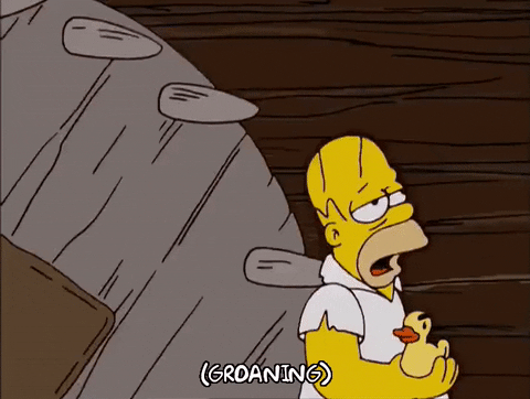 homer simpson GIF