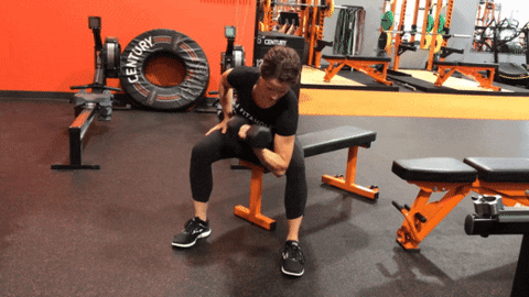 BamBamDoubleBB giphyupload concentration bicep curl GIF