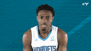 Sport Nba GIF by Charlotte Hornets