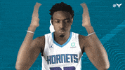 Sport Nba GIF by Charlotte Hornets