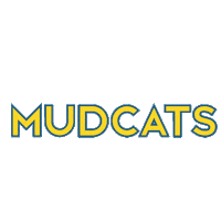 Inline Hockey Cats Sticker by TOUR Hockey