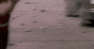 Canadian Cars GIF by CanFilmDay