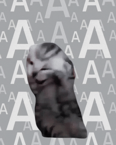 Cat Crying GIF