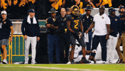 Baylor Bears Sic Em GIF by Baylor Athletics
