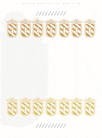 Ud Melilla GIF by Unión Deportiva Melilla