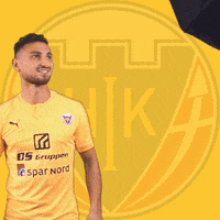 Magic GIF by Hobro IK