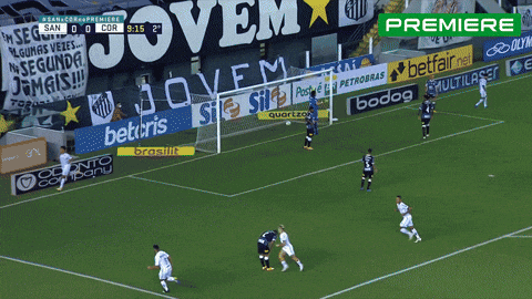 Serie A Santos GIF by Canal Premiere