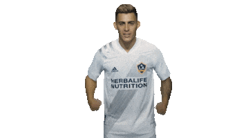 Los Angeles Football Sticker by LA Galaxy