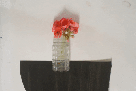 elizabethbisbing giphygifmaker littlebettyjane elizabethbisbing 2dstopmotion GIF