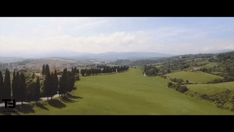 San Pellegrino Video GIF by TheFactory.video