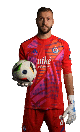 Slovan Futbal Sticker by Ruka Hore