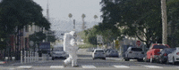 stuckonplanetearth stuckonplanetearth GIF