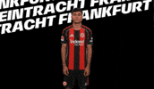 Heart Love GIF by Eintracht Frankfurt