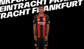 Celebration Bundesliga GIF by Eintracht Frankfurt