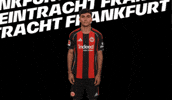 Come On Bundesliga GIF by Eintracht Frankfurt