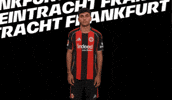 Celebration Goal GIF by Eintracht Frankfurt