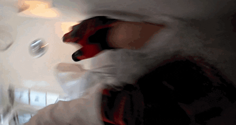 Music Video GIF by Pure Noise Records