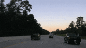 Education Vocabulary GIF by DIIMSA Stock