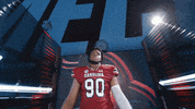 College Football GIF by gamecocksonline