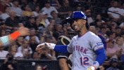 Home Run Celebration GIF by New York Mets