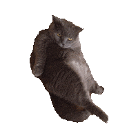 sexy STICKER by imoji