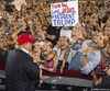 donald trump GIF