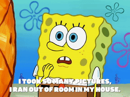 season 8 episode 3 GIF by SpongeBob SquarePants