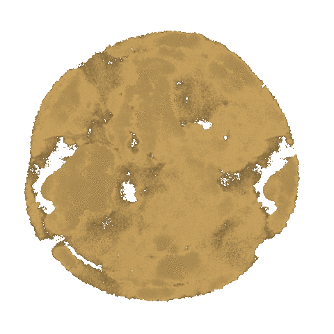 New Post Reveal Sticker