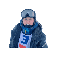 Team Usa Sport Sticker by U.S. Ski & Snowboard Team