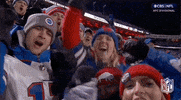 National Football League GIF by NFL