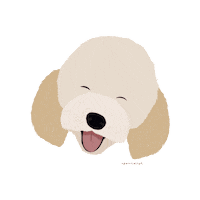 Dog Poodle Sticker