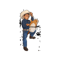 Niño Vaquero Sticker by Biogarma