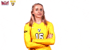 The Valley Mvc GIF by Missouri Valley Conference