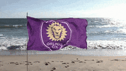 mls vamos orlando GIF by Orlando City SC