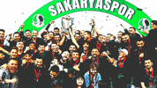Sakarya Sakaryaspor GIF