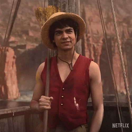 Happy One Piece GIF by NETFLIX