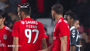 GIF by Sport Lisboa e Benfica