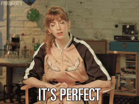 it's perfect tv land GIF by YoungerTV
