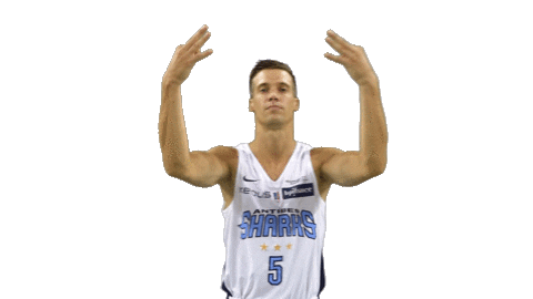 Basket Sticker by Antibes Sharks